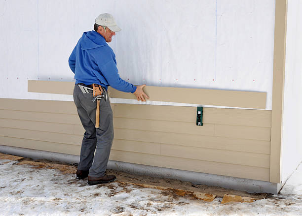 Best Stone Veneer Siding  in Lansing, MI