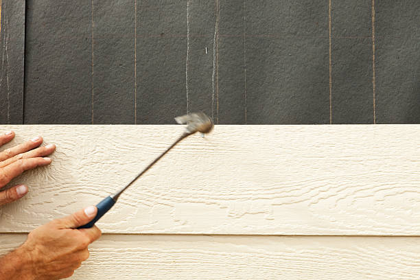 Affordable Siding Repair and Maintenance Services in Lansing, MI